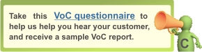 Voice of Customer Questionnaire