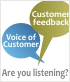 voice of customer